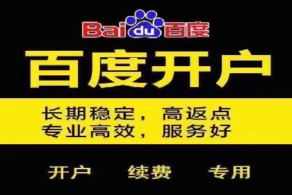 百度推广服务费案例：揭秘企业成功转型之路