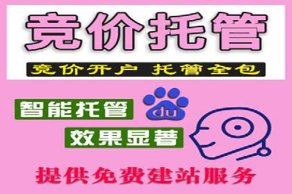 高效SEM托管服务：成功案例深度解析